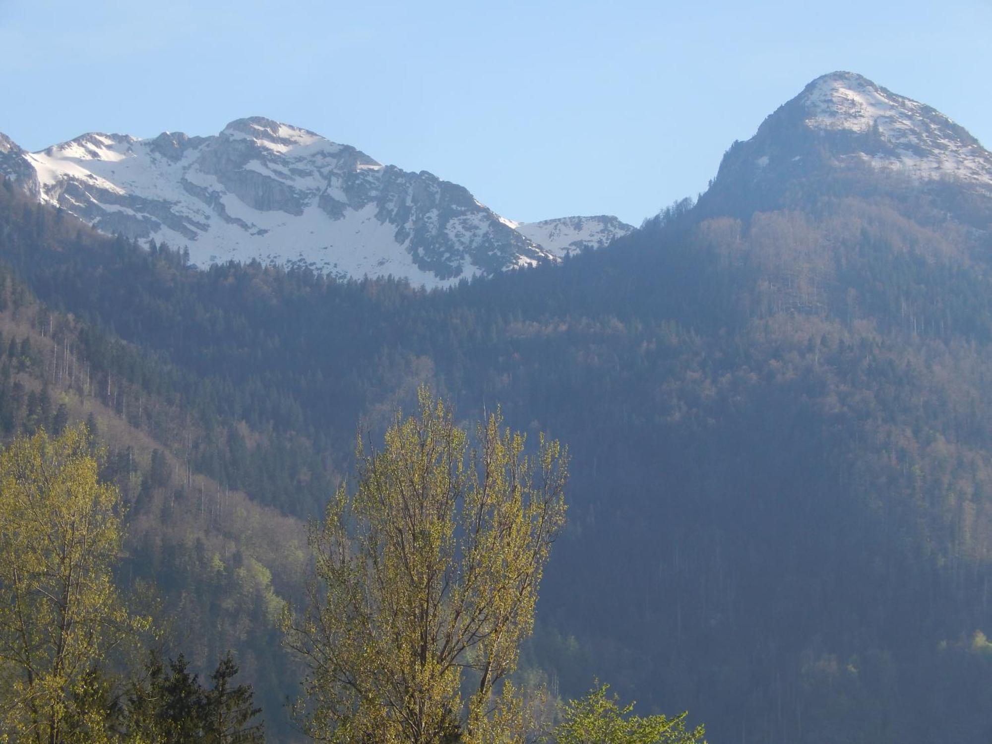 Apartments Bb Bohinj Εξωτερικό φωτογραφία