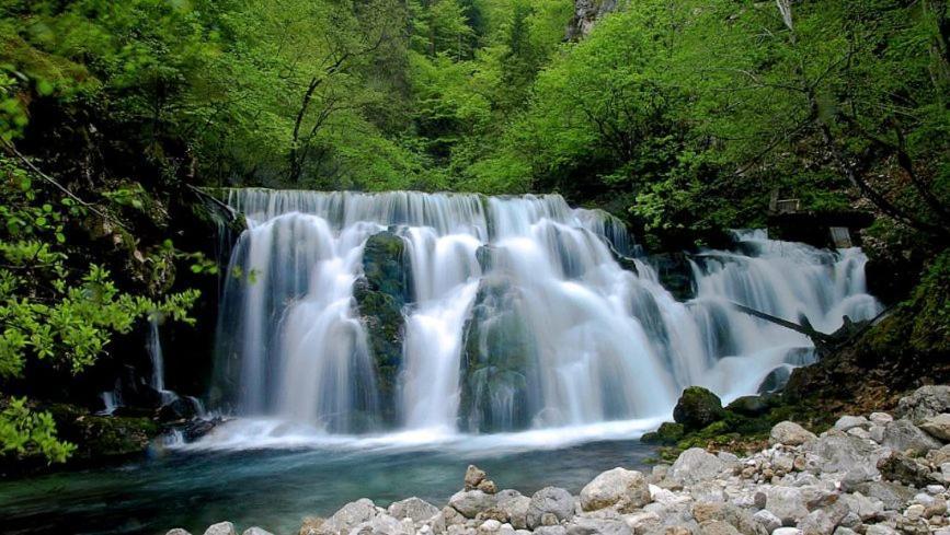 Apartments Bb Bohinj Εξωτερικό φωτογραφία