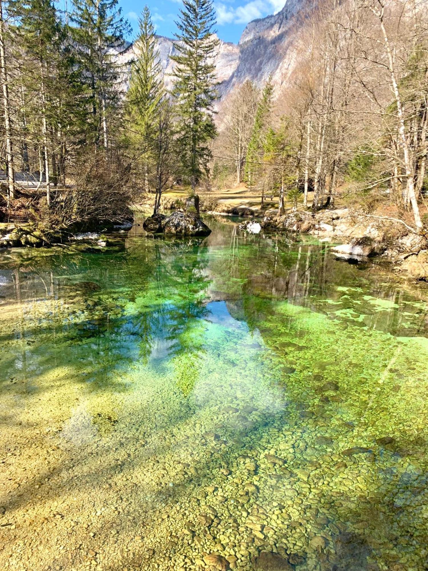 Apartments Bb Bohinj Εξωτερικό φωτογραφία