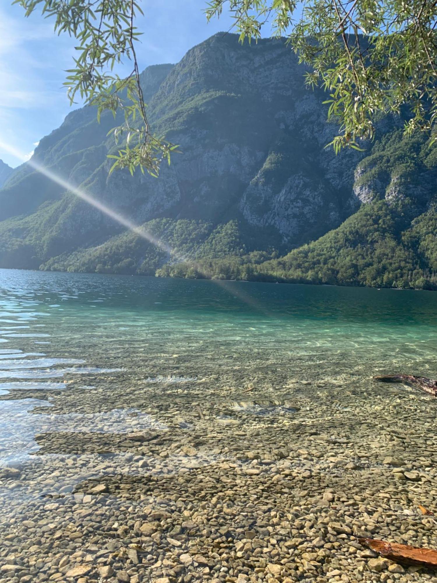 Apartments Bb Bohinj Εξωτερικό φωτογραφία